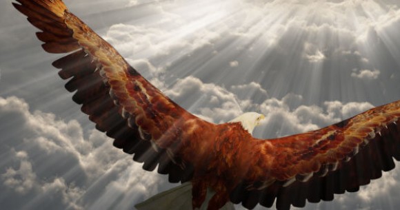 Eagle soaring above the clouds